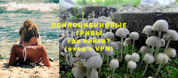 jwh Белокуриха